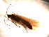  ( - DRPs9b)  @13 [ ] Copyright (2010) Unspecified Rutgers University