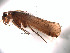  ( - DRLf9a)  @13 [ ] Copyright (2010) Unspecified Rutgers University