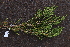  ( - M121-006)  @11 [ ] CreativeCommons  Attribution Share-Alike  Unspecified Universite de La Reunion
