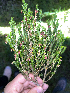  ( - M122-020)  @11 [ ] CreativeCommons  Attribution Share-Alike  Unspecified Universite de La Reunion