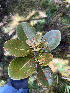 ( - M122-024)  @11 [ ] CreativeCommons  Attribution Share-Alike  Unspecified Universite de La Reunion