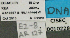  ( - BCAR127)  @11 [ ] CreativeCommons - Attribution (2015) David Donoso UTPL