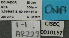  ( - BCAR228)  @11 [ ] CreativeCommons - Attribution (2015) David Donoso UTPL