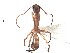  ( - BCCISEC0010114)  @12 [ ] CreativeCommons - Attribution (2015) David Donoso UTPL