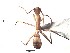  ( - BCCISEC0010115)  @12 [ ] CreativeCommons - Attribution (2015) David Donoso UTPL