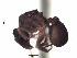  ( - PBA0412)  @12 [ ] CreativeCommons - Attribution (2015) David Donoso UTPL
