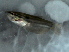  ( - 0-0801-10)  @13 [ ] Copyright (2010) Unspecified Unspecified
