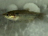  ( - 0-0801-11)  @13 [ ] Copyright (2010) Unspecified Unspecified