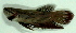  ( - 1-0301-10)  @13 [ ] Copyright (2010) Unspecified Unspecified