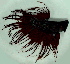  ( - 4-5201-10)  @14 [ ] Copyright (2010) Unspecified Unspecified