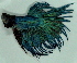  ( - 4-5201-13)  @14 [ ] Copyright (2010) Unspecified Unspecified