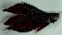  ( - 5-5201-03)  @14 [ ] Copyright (2010) Unspecified Unspecified