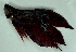  ( - 5-5201-03)  @14 [ ] Copyright (2010) Unspecified Unspecified
