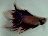  ( - 5-5201-04)  @14 [ ] Copyright (2010) Unspecified Unspecified