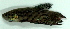  ( - 8-6701-02)  @13 [ ] Copyright (2010) Unspecified Unspecified
