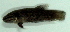  ( - 8-6701-16)  @13 [ ] Copyright (2010) Unspecified Unspecified