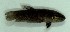  ( - 8-6701-16)  @13 [ ] Copyright (2010) Unspecified Unspecified