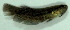  ( - 8-6701-19)  @13 [ ] Copyright (2010) Unspecified Unspecified