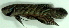  ( - 9-5601-01)  @13 [ ] Copyright (2010) Unspecified Unspecified