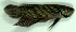  ( - 9-5601-01)  @13 [ ] Copyright (2010) Unspecified Unspecified