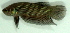  ( - 9-5601-02)  @13 [ ] Copyright (2010) Unspecified Unspecified