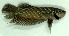  ( - 9-5601-05)  @13 [ ] Copyright (2010) Unspecified Unspecified