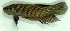  ( - 9-5601-06)  @13 [ ] Copyright (2010) Unspecified Unspecified