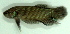  ( - 9-5601-07)  @13 [ ] Copyright (2010) Unspecified Unspecified