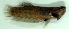  ( - 9-5601-10)  @13 [ ] Copyright (2010) Unspecified Unspecified