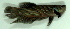  ( - 9-5601-11)  @13 [ ] Copyright (2010) Unspecified Unspecified