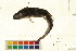  ( - OL-0291)  @13 [ ] CreativeCommons - Attribution (2009) Unspecified Centre for Biodiversity Genomics