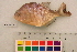  ( - OL-0230)  @14 [ ] CreativeCommons - Attribution (2010) Unspecified Centre for Biodiversity Genomics