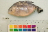  ( - OL-0465)  @14 [ ] CreativeCommons - Attribution (2010) Unspecified Centre for Biodiversity Genomics