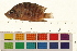  ( - OL-0312)  @13 [ ] CreativeCommons - Attribution (2009) Unspecified Centre for Biodiversity Genomics