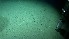  ( - PAC2022-035_OY079-011-01)  @11 [ ] CreativeCommons Attribution Non-Commercial (by-nc)  Unspecified Fisheries & Oceans Canada