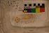  ( - PAC2022-035_OY079-011-01)  @11 [ ] CreativeCommons Attribution Non-Commercial (by-nc)  Unspecified Fisheries & Oceans Canada