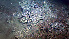  (Synallactidae - PAC2022-035_OY080-016-01)  @11 [ ] CreativeCommons Attribution Non-Commercial (by-nc)  Unspecified Fisheries & Oceans Canada