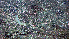  ( - PAC2022-035_OY080-016-01)  @11 [ ] CreativeCommons Attribution Non-Commercial (by-nc)  Unspecified Fisheries & Oceans Canada