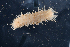  ( - PAC2022-035_OY080-016-01)  @11 [ ] CreativeCommons Attribution Non-Commercial (by-nc)  Unspecified Fisheries & Oceans Canada