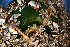  ( - PAC2022-035_OY082-034-02)  @11 [ ] CreativeCommons Attribution Non-Commercial (by-nc)  Unspecified Fisheries & Oceans Canada