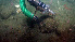  ( - PAC2022-035_OY086-055-01)  @11 [ ] CreativeCommons Attribution Non-Commercial (by-nc)  Unspecified Fisheries & Oceans Canada
