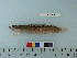  ( - OSHOR08-45)  @12 [ ] Copyright (2010) Unspecified California Academy of Sciences