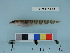  ( - BEAU2011-48)  @13 [ ] Copyright (2011) Catherine W. Mecklenburg Unspecified