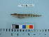  ( - BEAU2011-62)  @12 [ ] Copyright (2011) Catherine W. Mecklenburg Unspecified