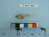  ( - BEAU2011-77)  @13 [ ] Copyright (2011) Catherine W. Mecklenburg Unspecified