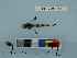  ( - BEAU2011-84)  @13 [ ] Copyright (2011) Catherine W. Mecklenburg Unspecified
