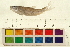  ( - 07PROBE293-I)  @14 [ ] CreativeCommons - Attribution (2009) Unspecified Centre for Biodiversity Genomics