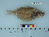  ( - AKCH10-03)  @13 [ ] Copyright (2011) Catherine W. Mecklenburg Point Stephens Research, P.O. Box 210307, Auke Bay, Alaska 99821 USA