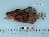 ( - AKCH10-05)  @14 [ ] Copyright (2011) Catherine W. Mecklenburg Point Stephens Research, P.O. Box 210307, Auke Bay, Alaska 99821 USA