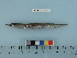  ( - BEAU2012-100)  @13 [ ] Copyright (2012) C. W. Mecklenburg Point Stephens Research
